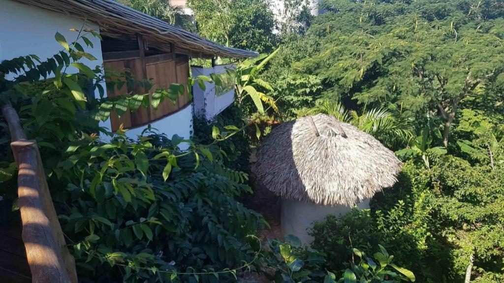 Bamboojam Villa Las Terrenas Esterno foto