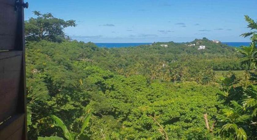 Bamboojam Villa Las Terrenas Esterno foto