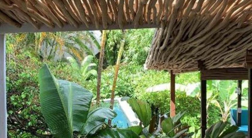 Bamboojam Villa Las Terrenas Esterno foto